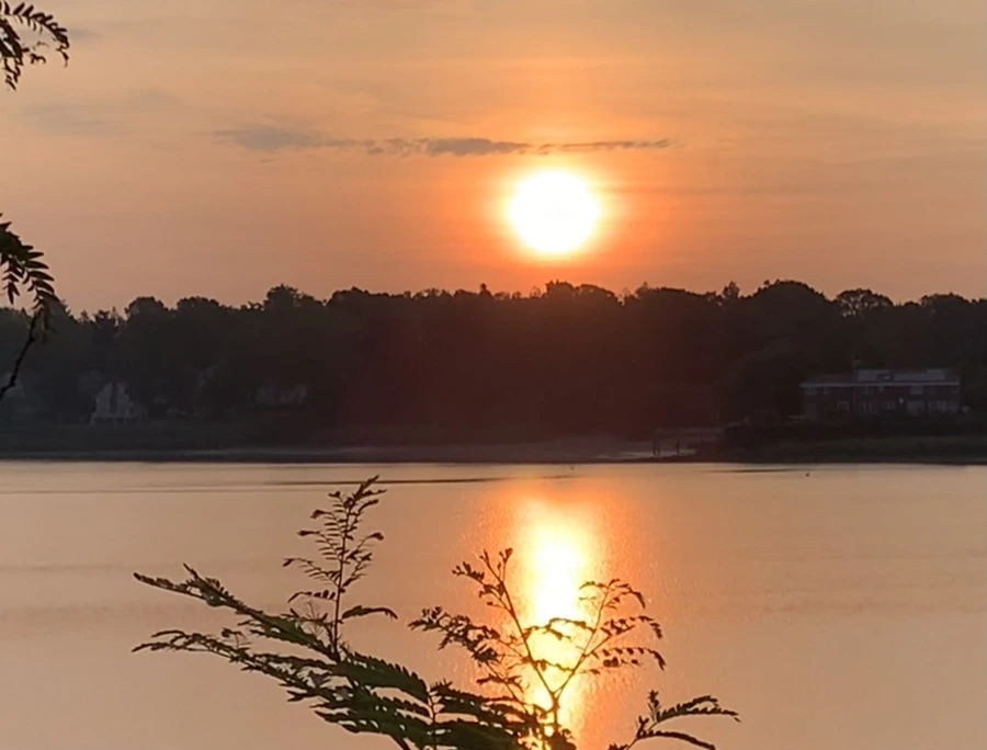 IMG_7752.jpg?type=w966