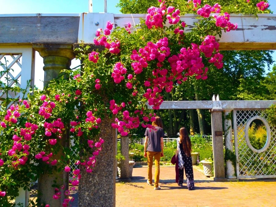 D5mWAUHQpIguGqpXxXNFCCG4JUU