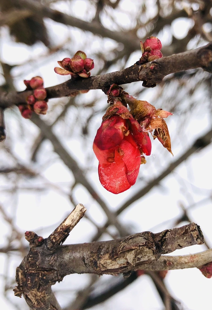 IMG_9030.jpg?type=w966