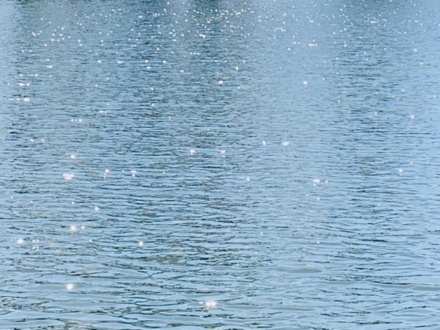 IMG_4454.jpg?type=w966