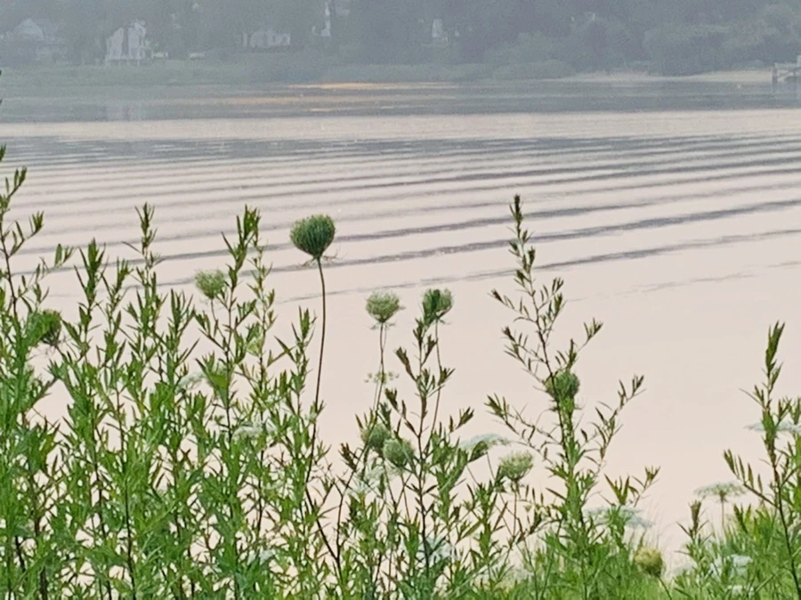 IMG_8549.jpg?type=w966