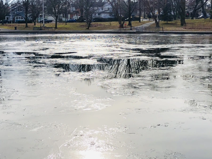 IMG_2015.jpg?type=w966