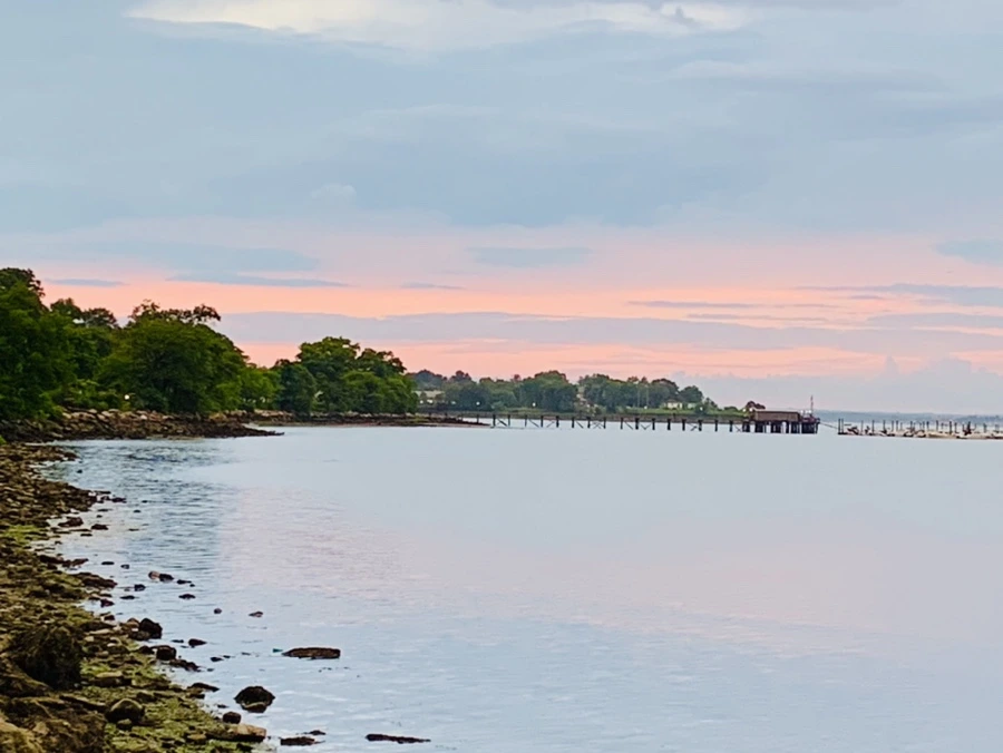 IMG_3062.jpg?type=w966