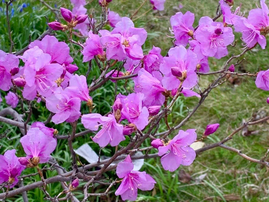 IMG_6758.jpg?type=w966