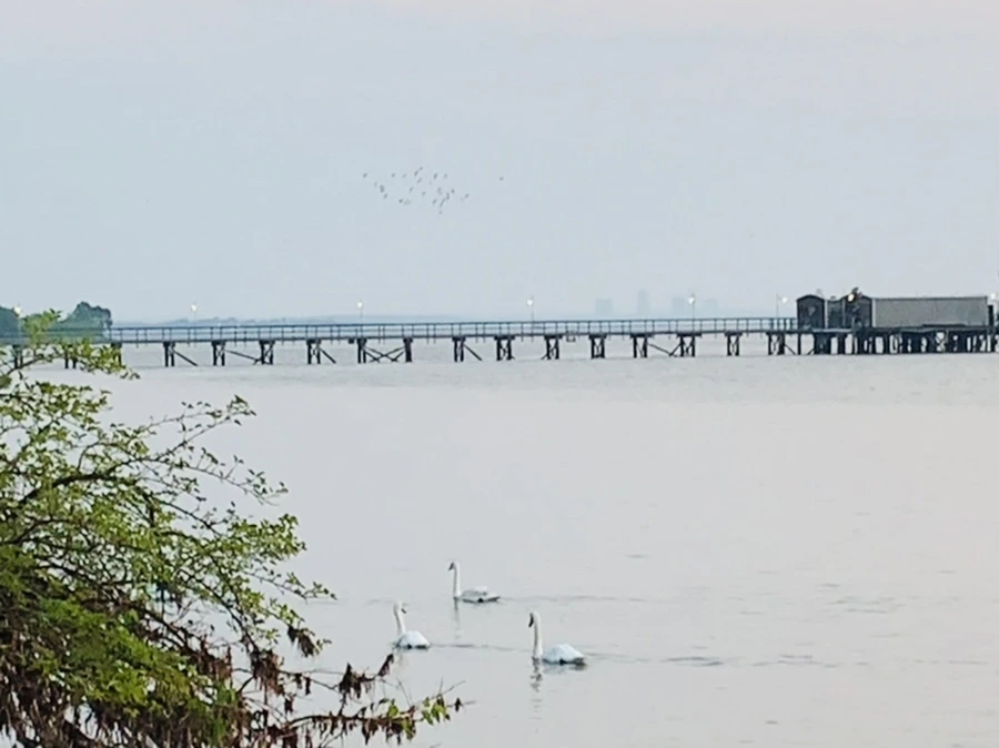 IMG_2378.jpg?type=w966