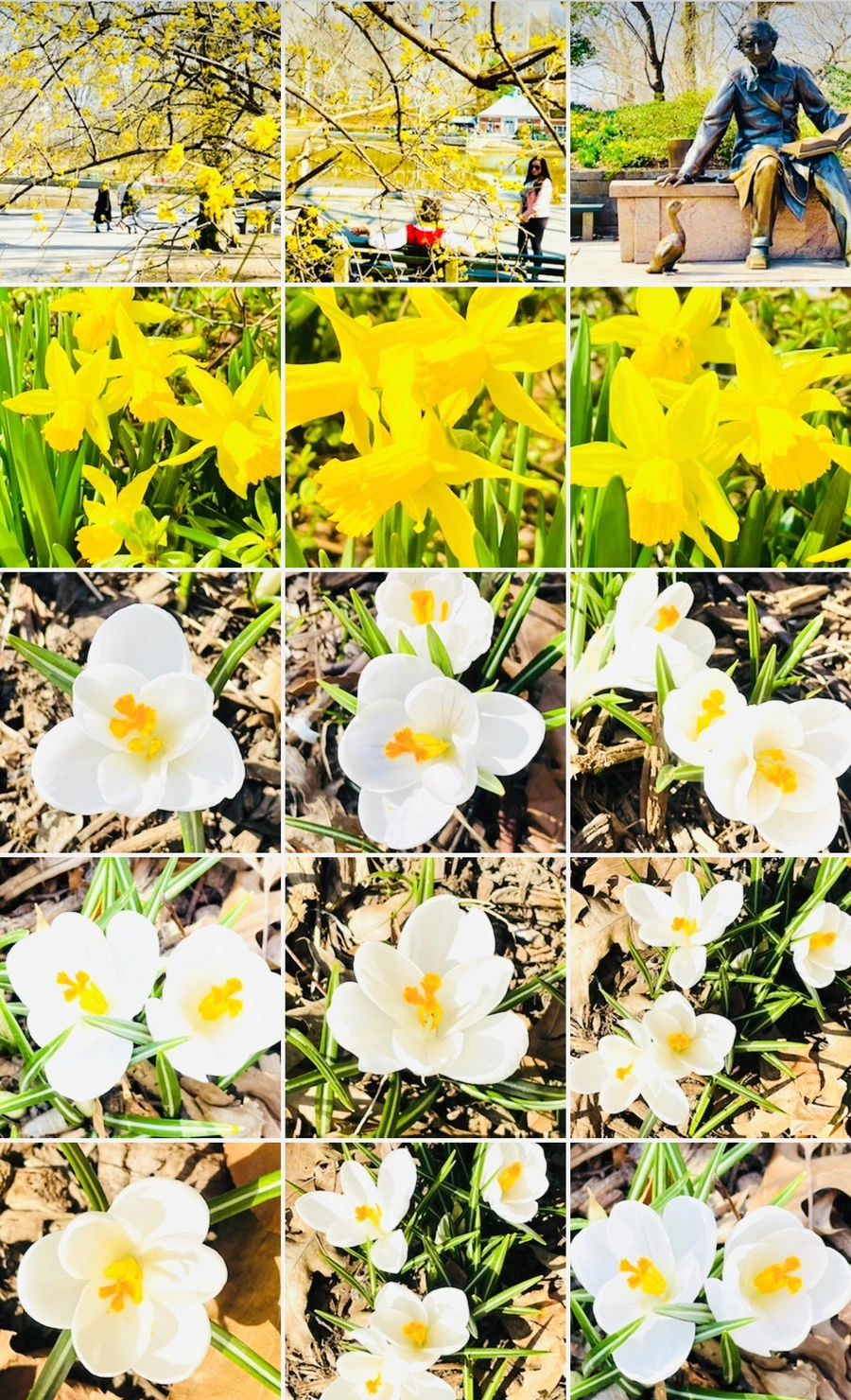 IMG_5658.jpg?type=w966