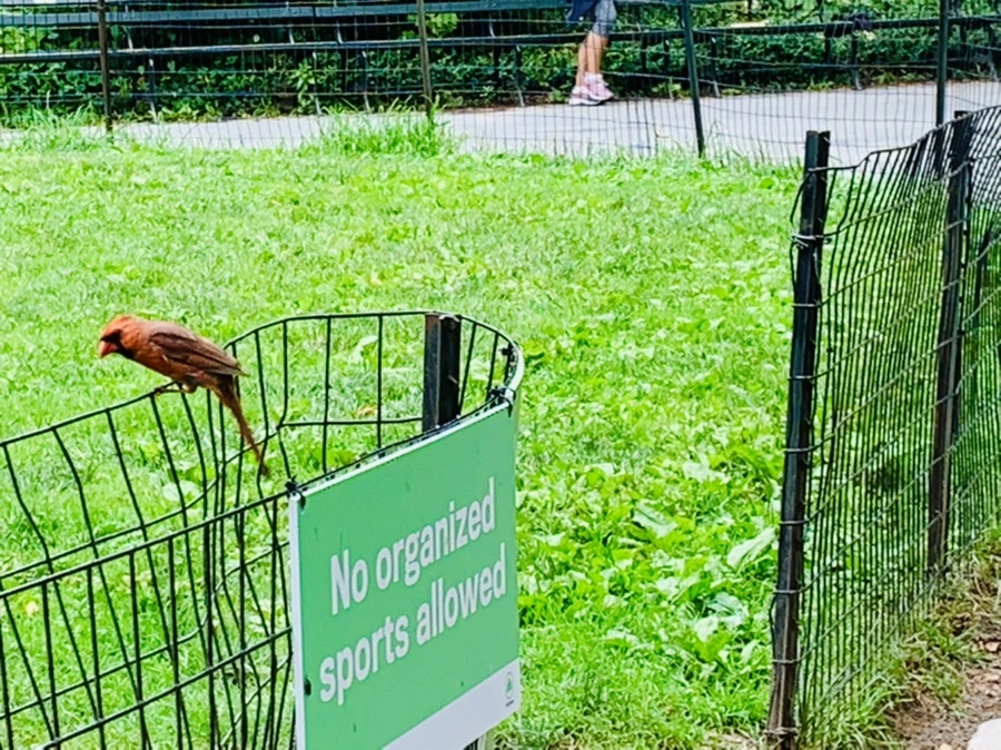 IMG_9908.jpg?type=w966