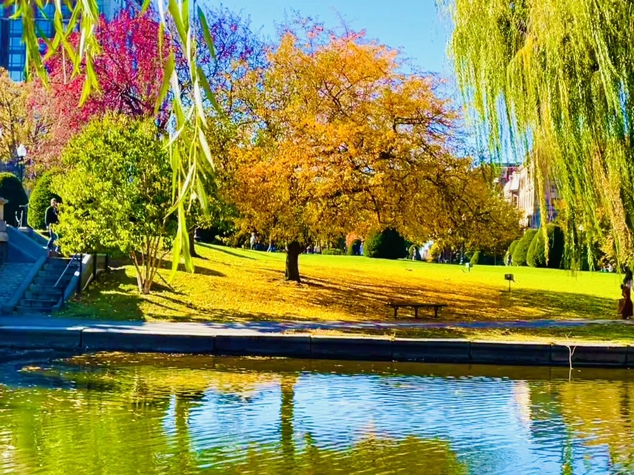 IMG_2550.jpg?type=w966