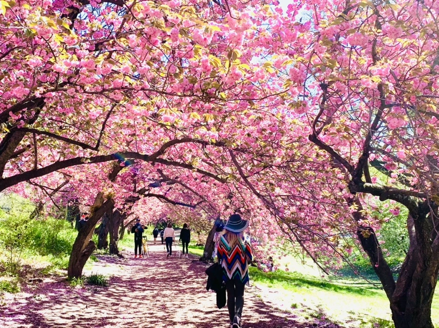 IMG_5961.jpg?type=w966