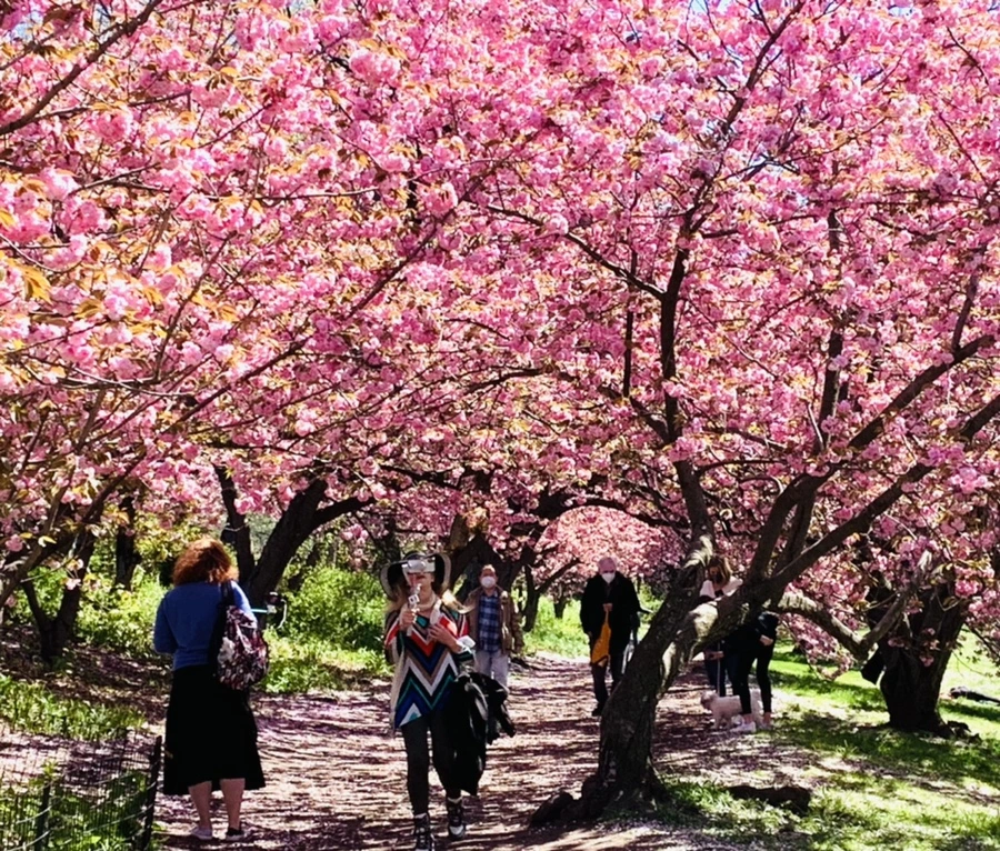 IMG_5944.jpg?type=w966