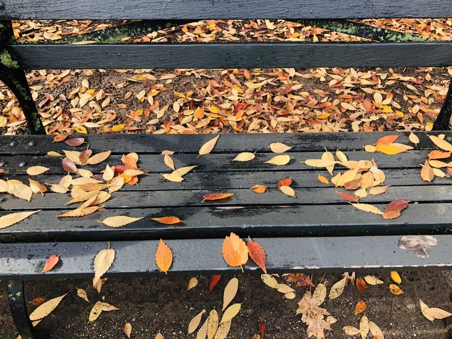 IMG_5485.jpg?type=w966