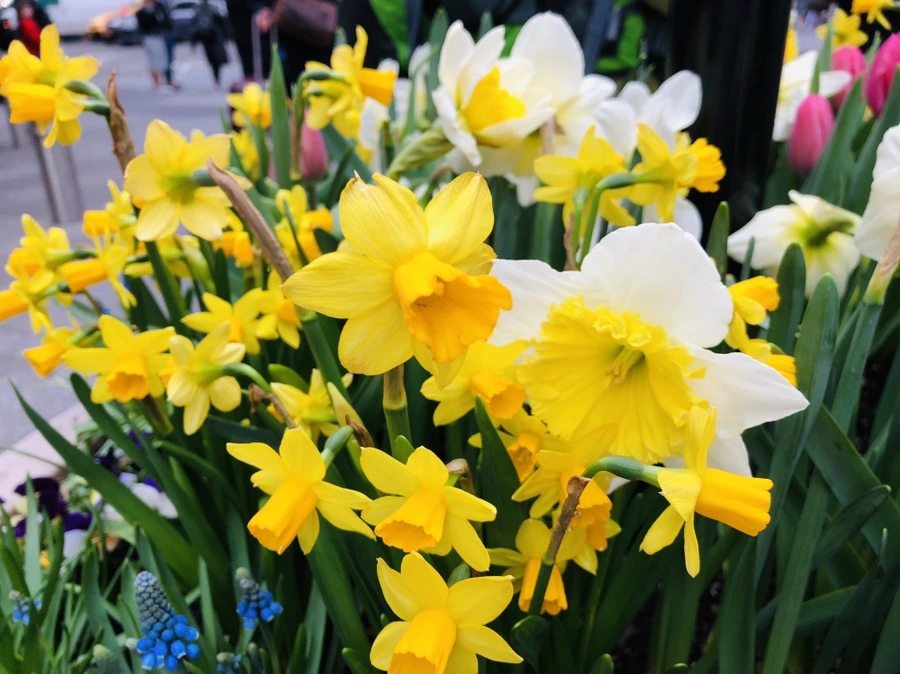 IMG_3067.jpg?type=w966