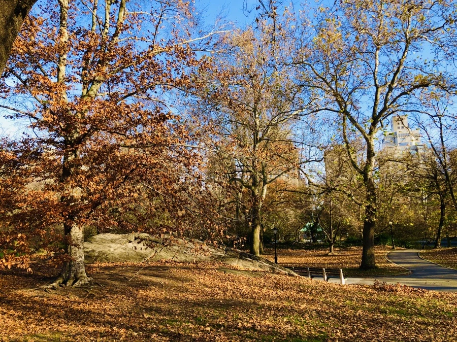 IMG_5333.jpg?type=w966