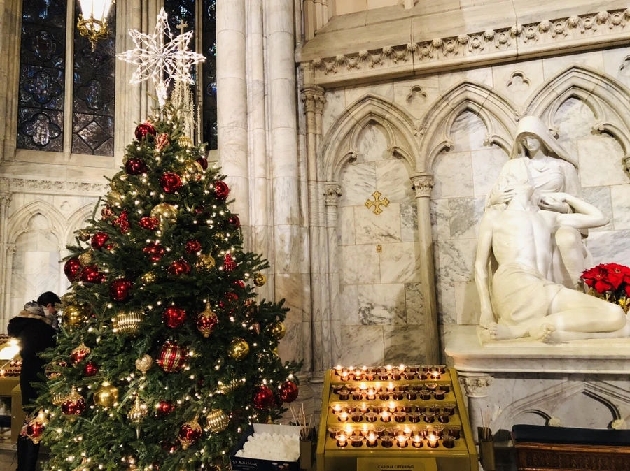 IMG_8559.jpg?type=w966