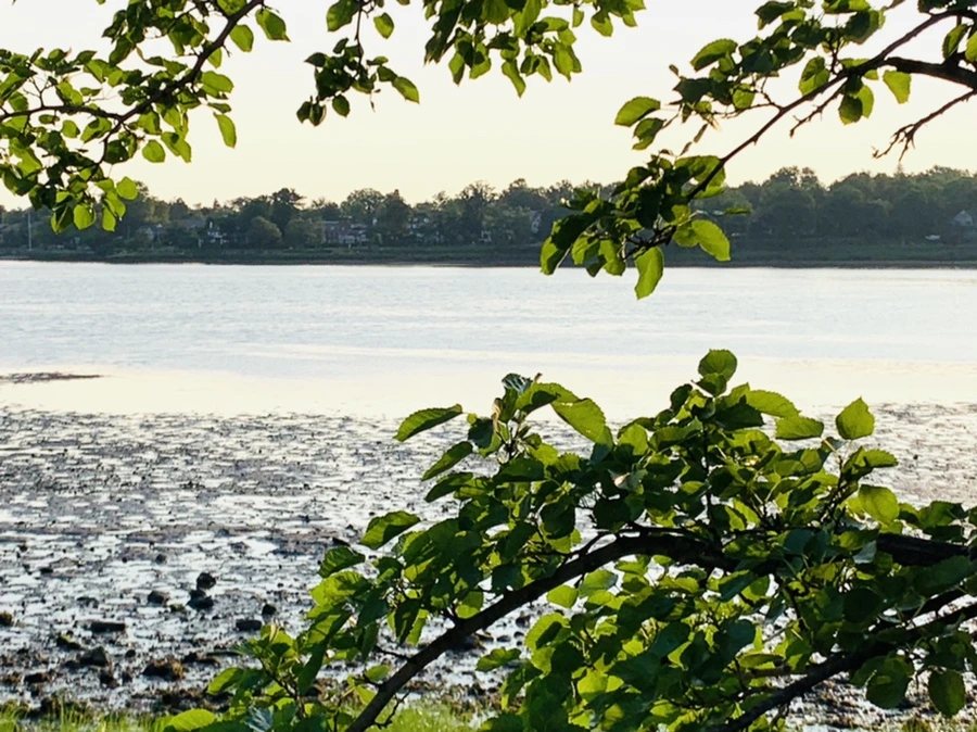 IMG_9805.jpg?type=w966