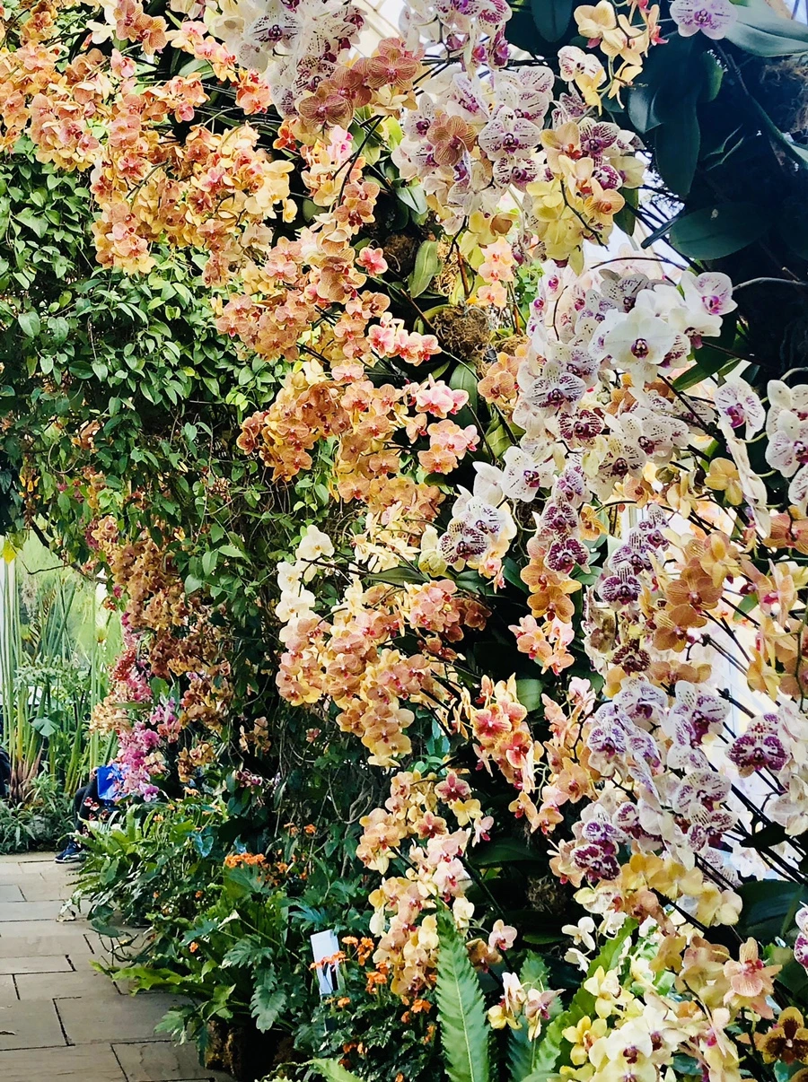 IMG_6287.jpg?type=w966