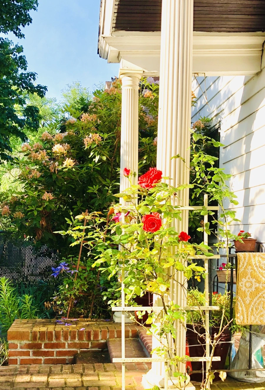 IMG_8011.jpg?type=w966