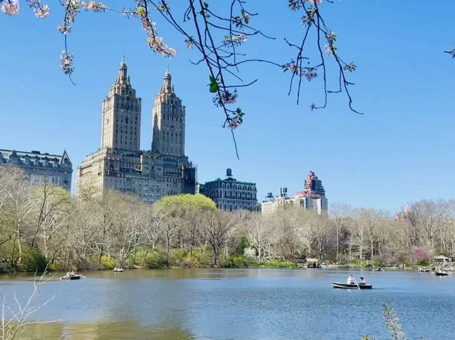 IMG_0700.jpg?type=w966