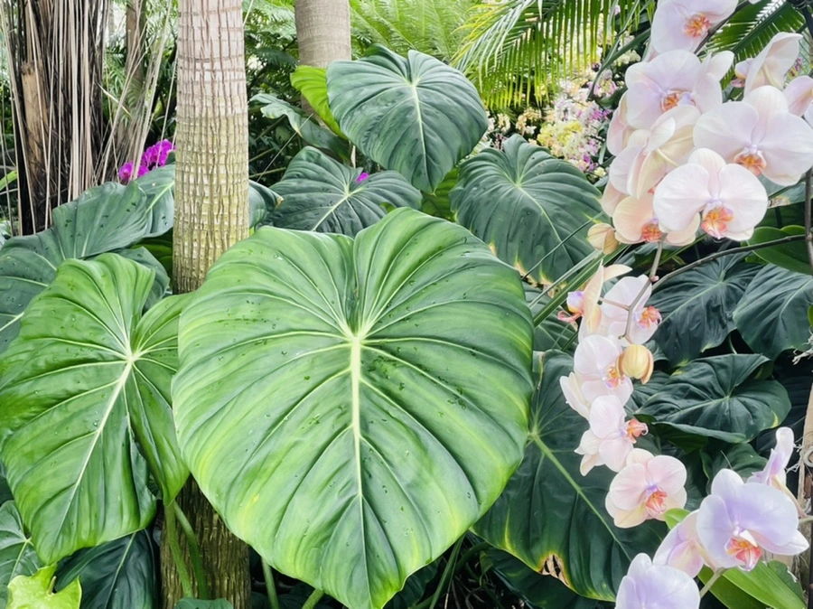 IMG_1377.jpg?type=w966