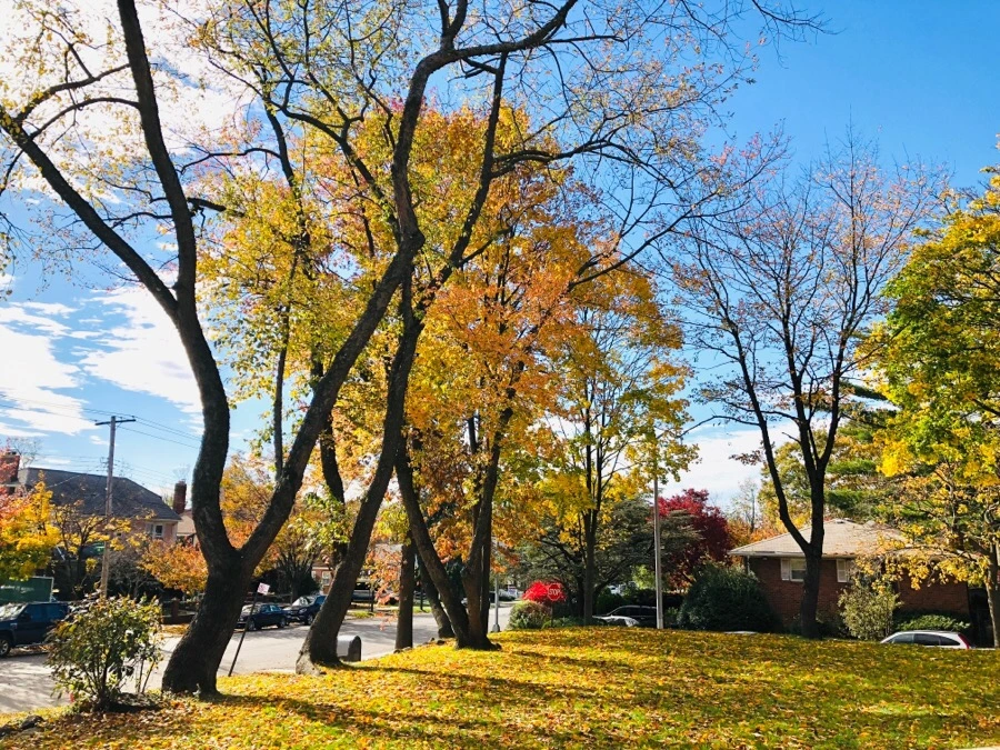 IMG_7483.jpg?type=w966