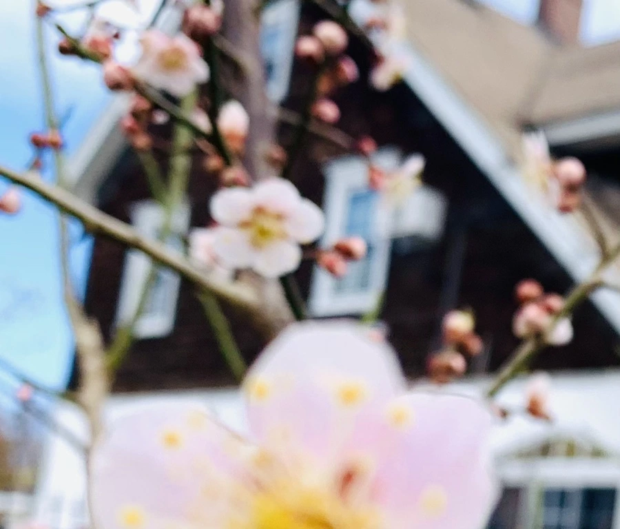 IMG_0484.jpg?type=w966