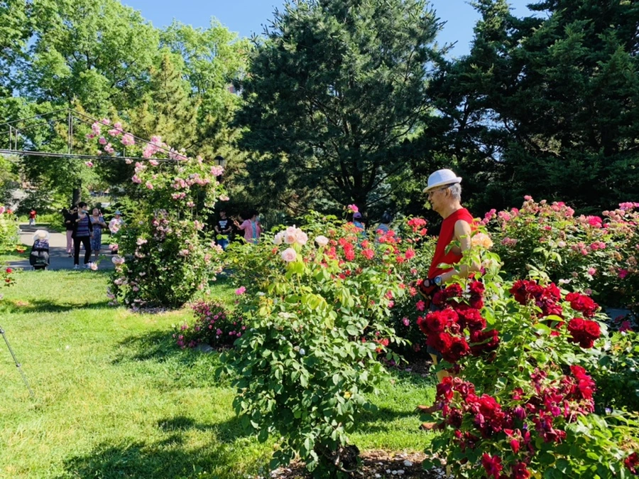 IMG_3077.jpg?type=w966