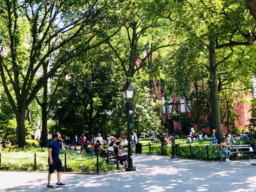 IMG_5452.jpg?type=w966