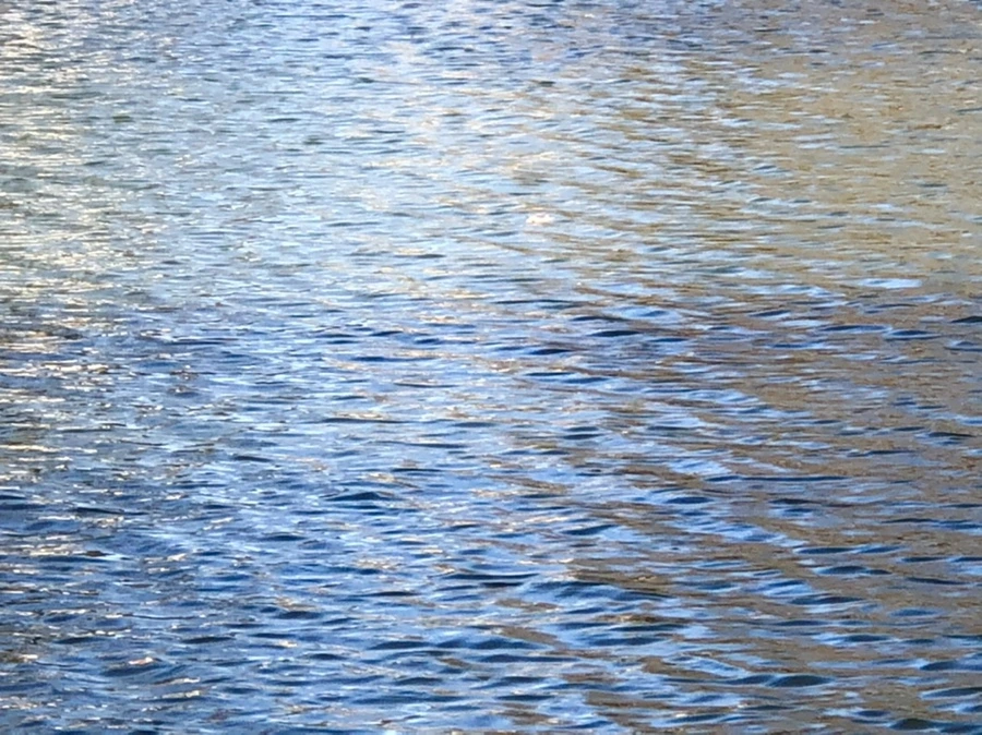 IMG_3839.jpg?type=w966