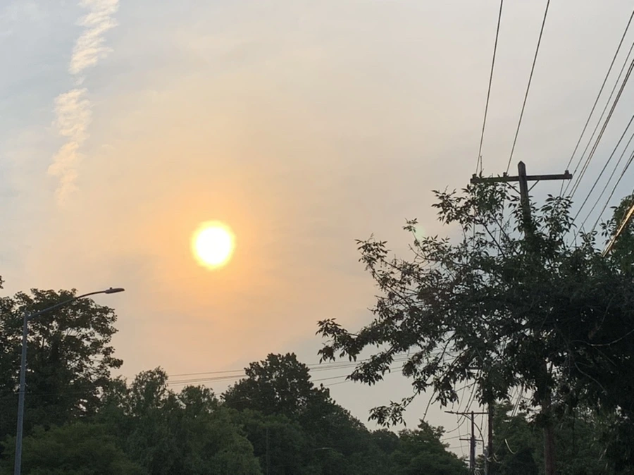 IMG_5013.jpg?type=w966