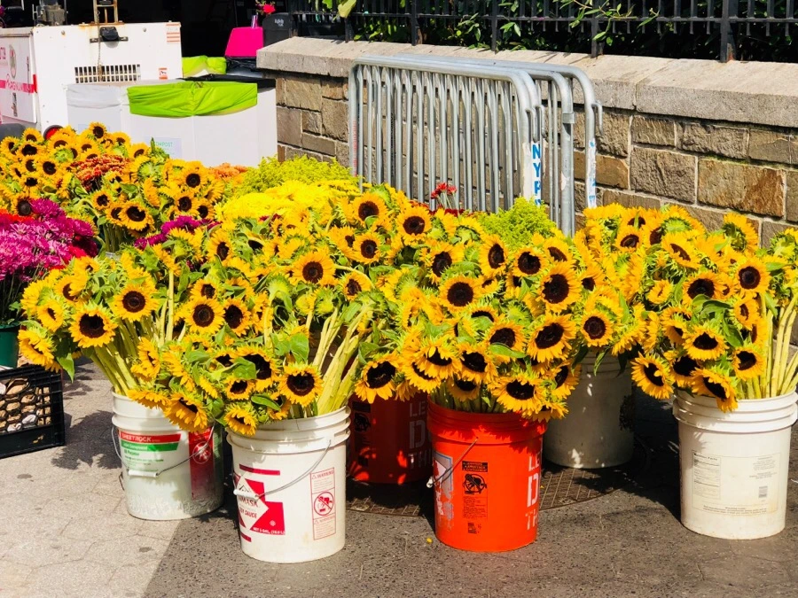 IMG_5622.jpg?type=w966