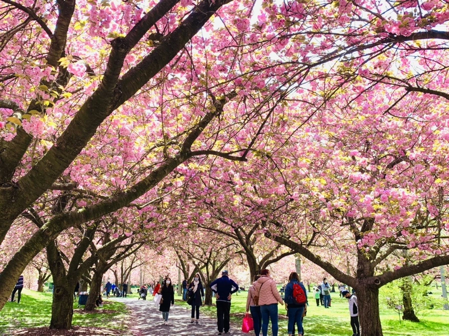 IMG_6483.jpg?type=w966