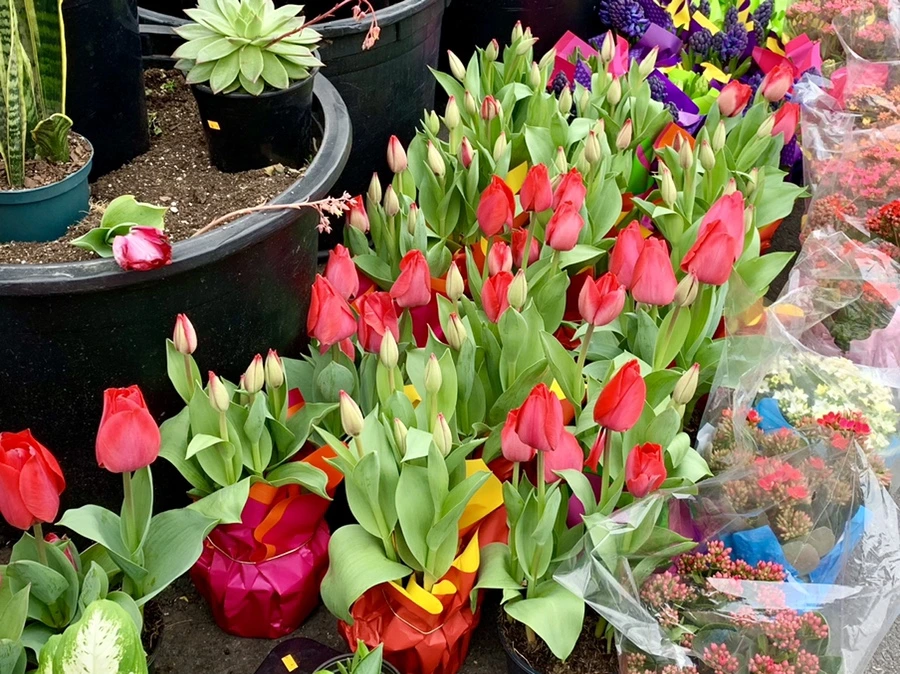 IMG_1733.jpg?type=w966