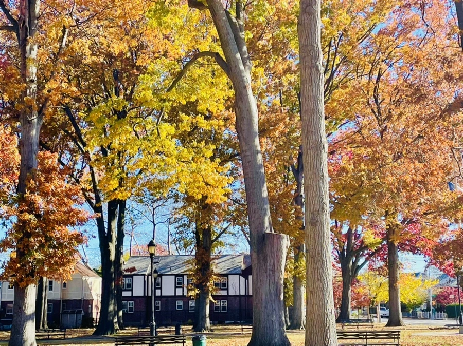 IMG_4673.jpg?type=w966