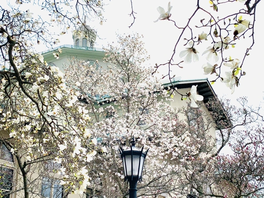 IMG_7155.jpg?type=w966