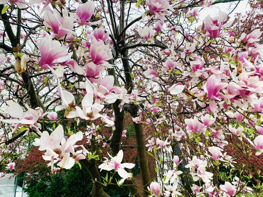 IMG_2360.jpg?type=w966