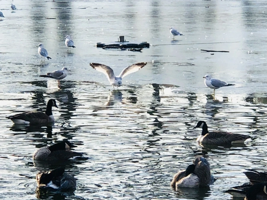 IMG_2805.jpg?type=w966