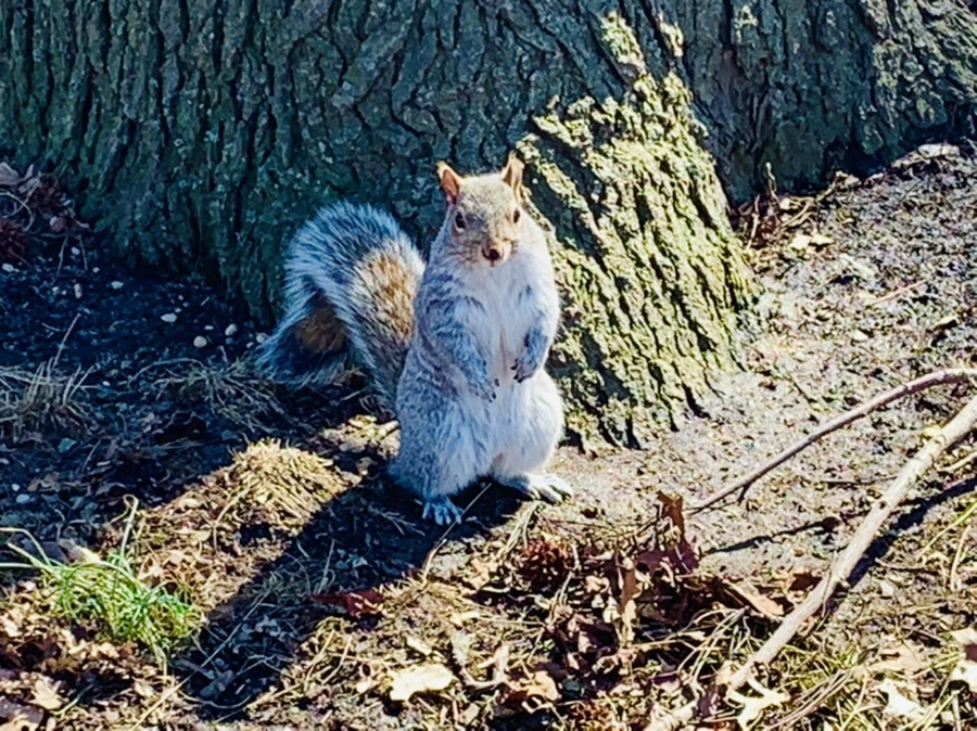 IMG_6946.jpg?type=w966