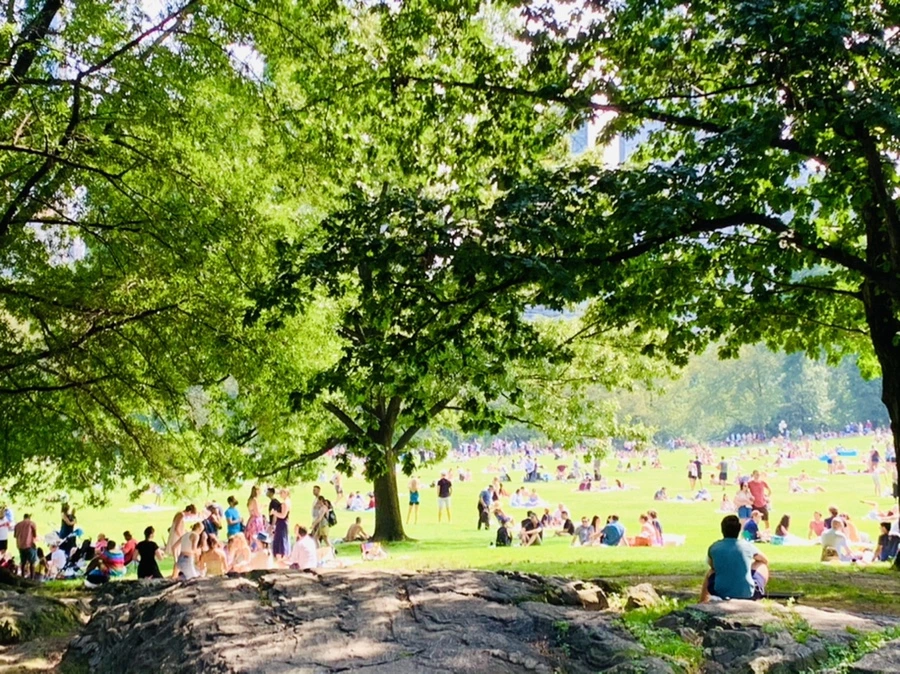 IMG_0624.jpg?type=w966