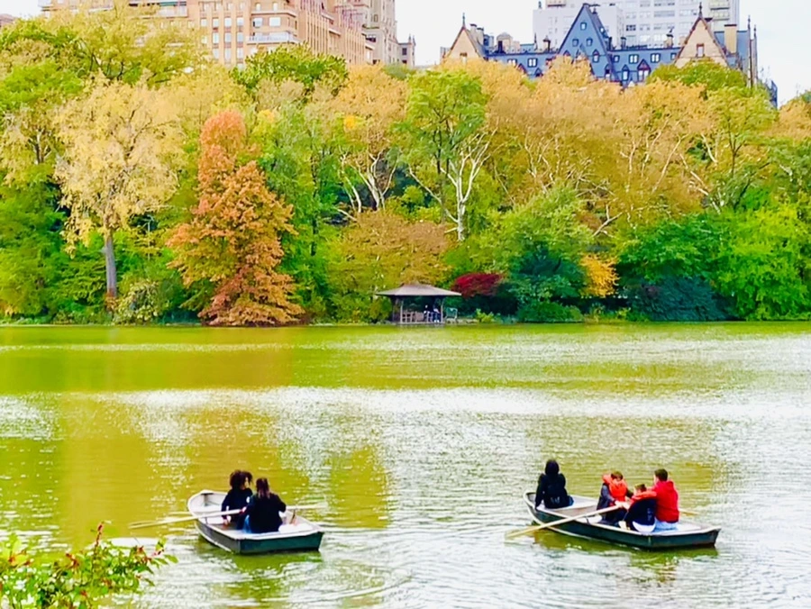 IMG_0170.jpg?type=w966