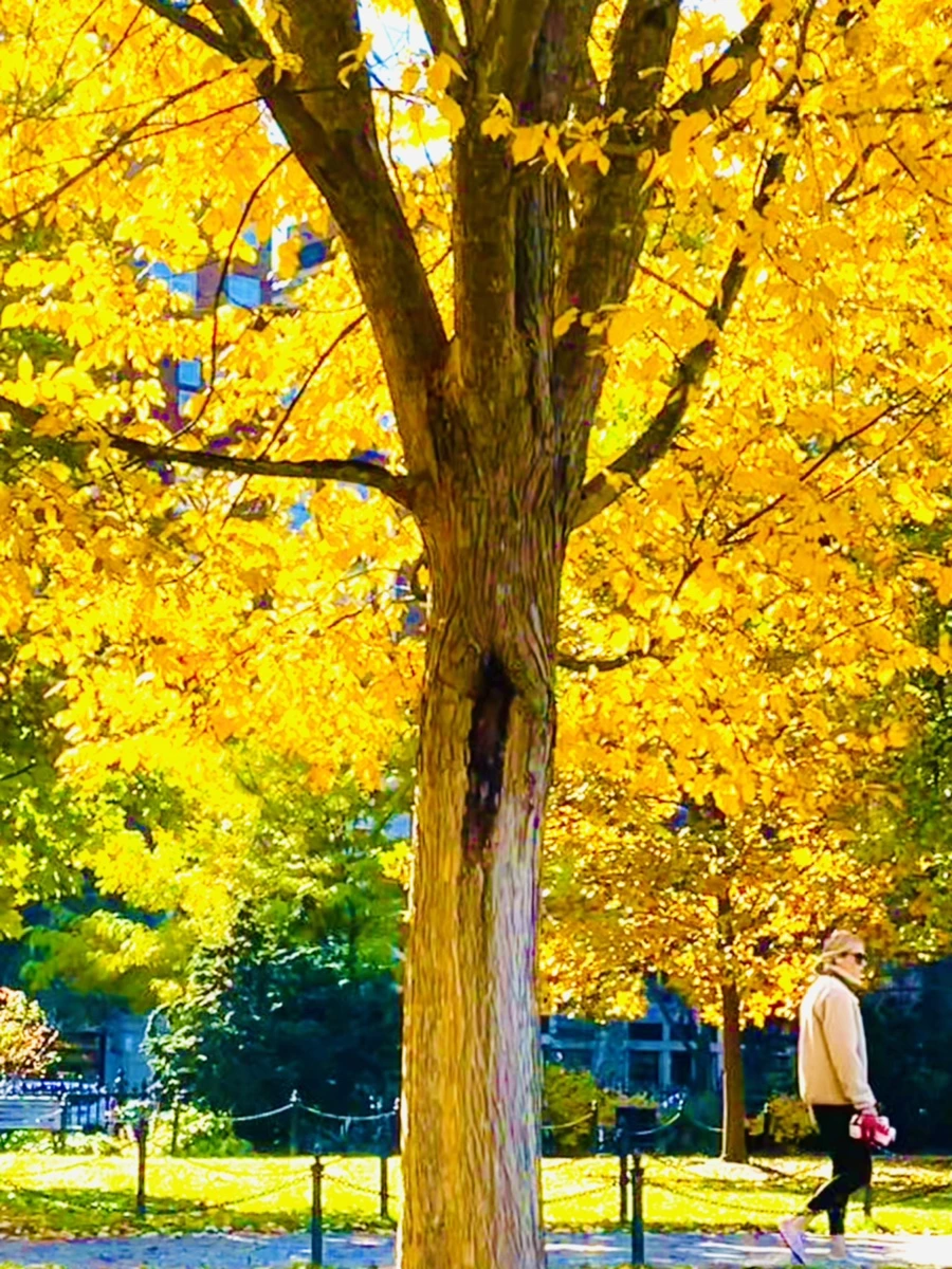 IMG_2587.jpg?type=w966