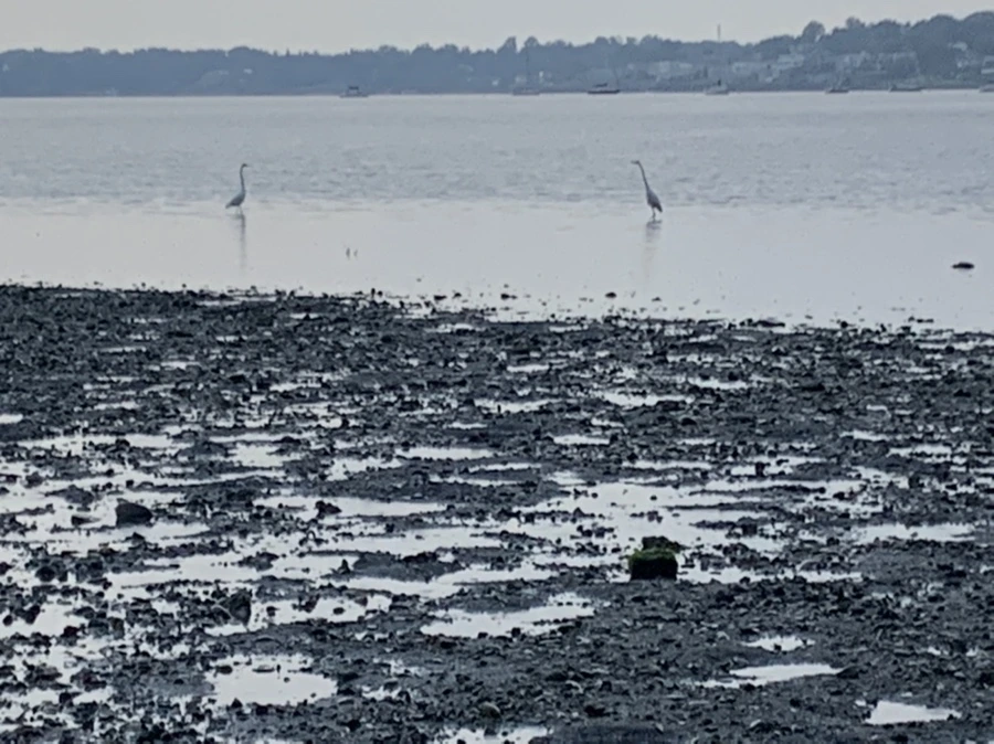 IMG_8139.jpg?type=w966