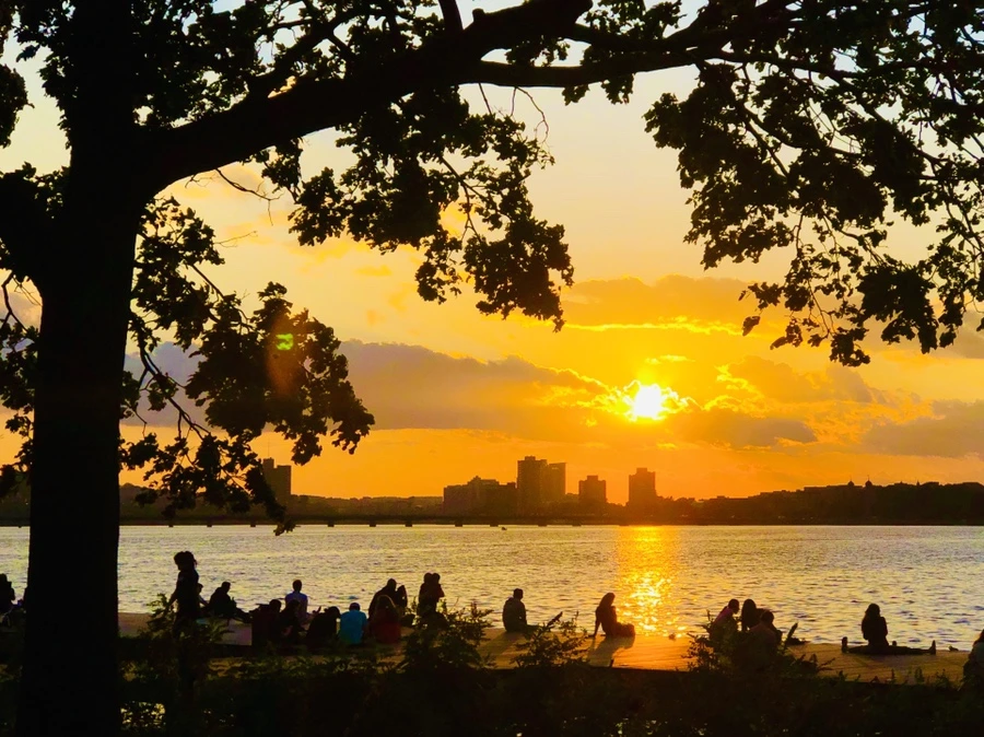 IMG_0871.jpg?type=w966