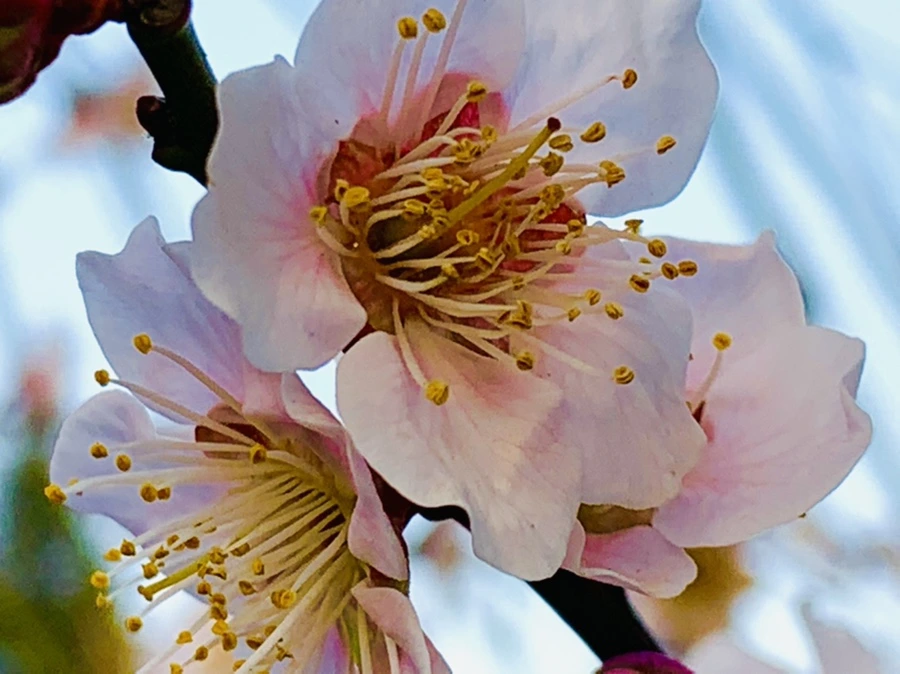 IMG_2772.jpg?type=w966