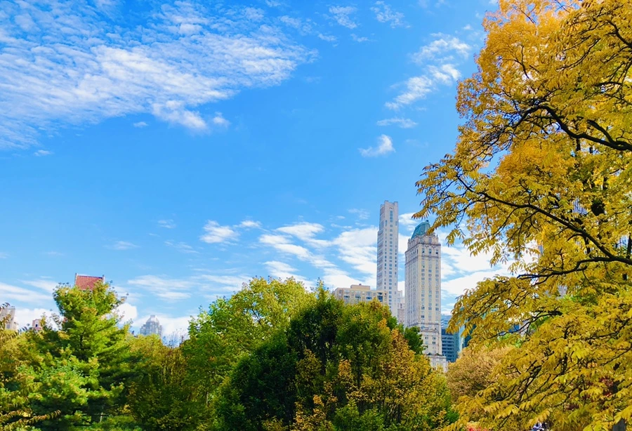 IMG_2997.jpg?type=w966