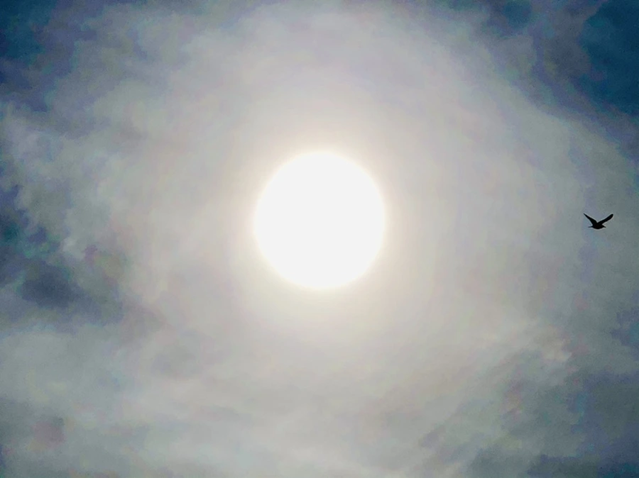 IMG_3125.jpg?type=w966