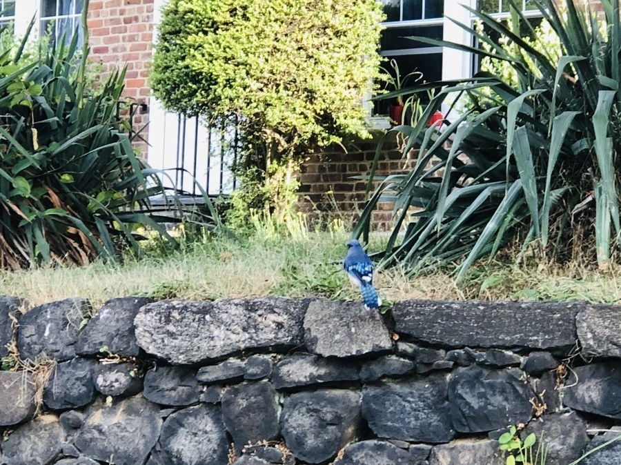 XghZcSiH4WOZhGmFmrtjxWfak74