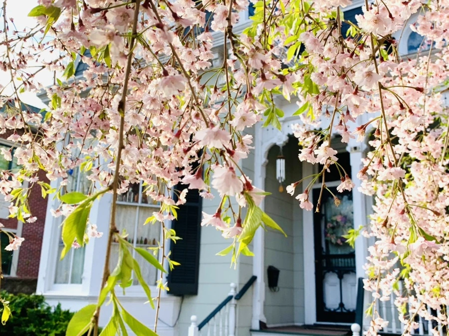 IMG_3737.jpg?type=w966