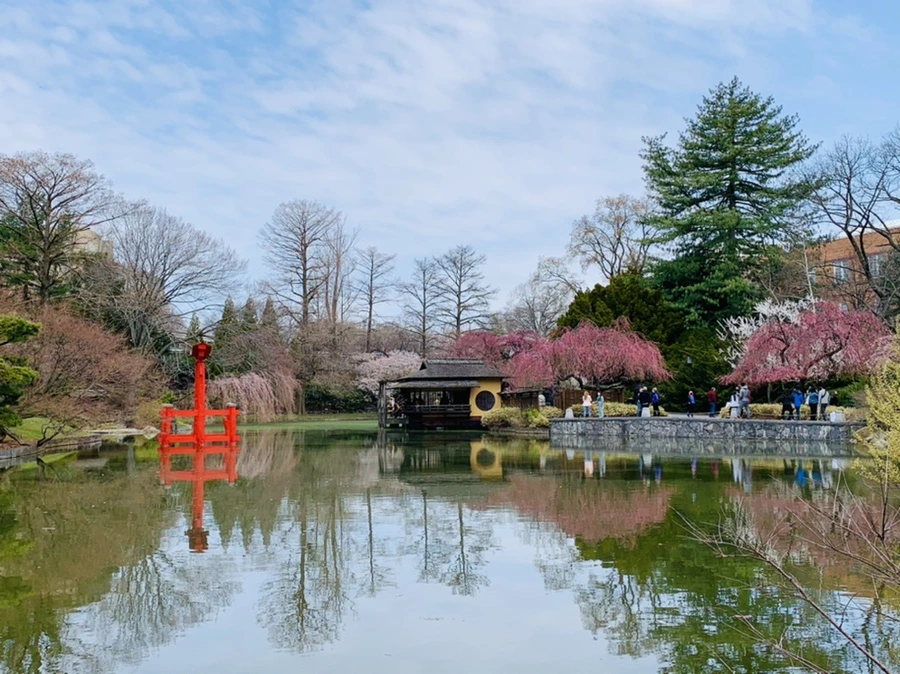 IMG_7116.jpg?type=w966