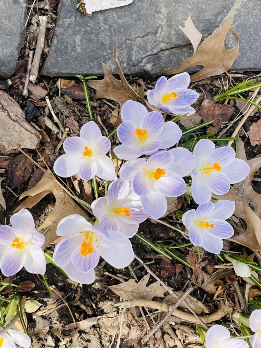 IMG_5175.jpg?type=w966