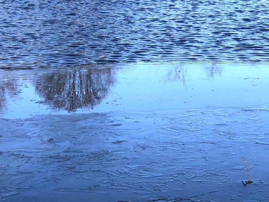 IMG_0557.jpg?type=w966